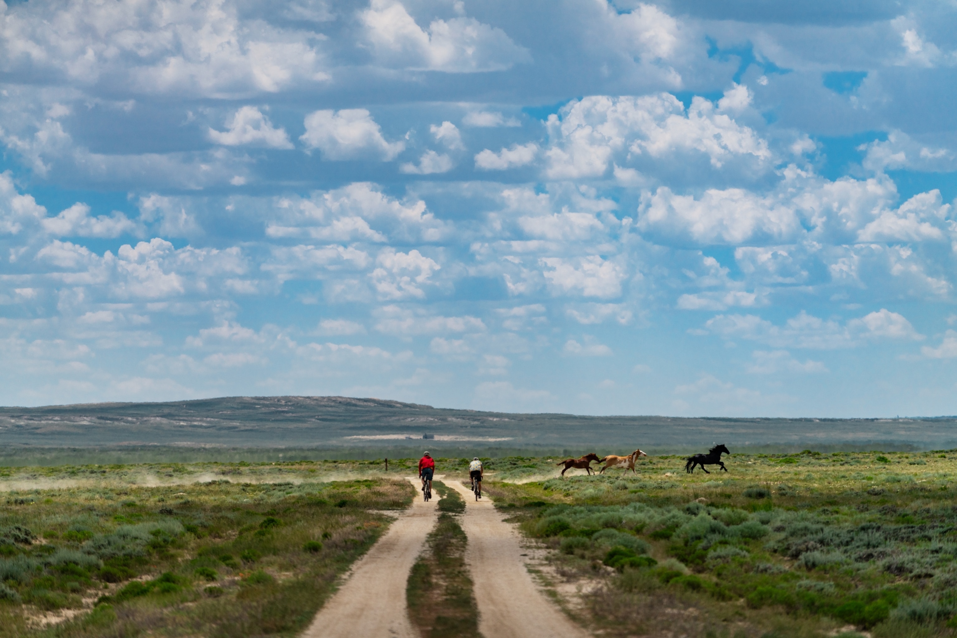 Honnold and Caldwell bike on a dirt path as horses cross