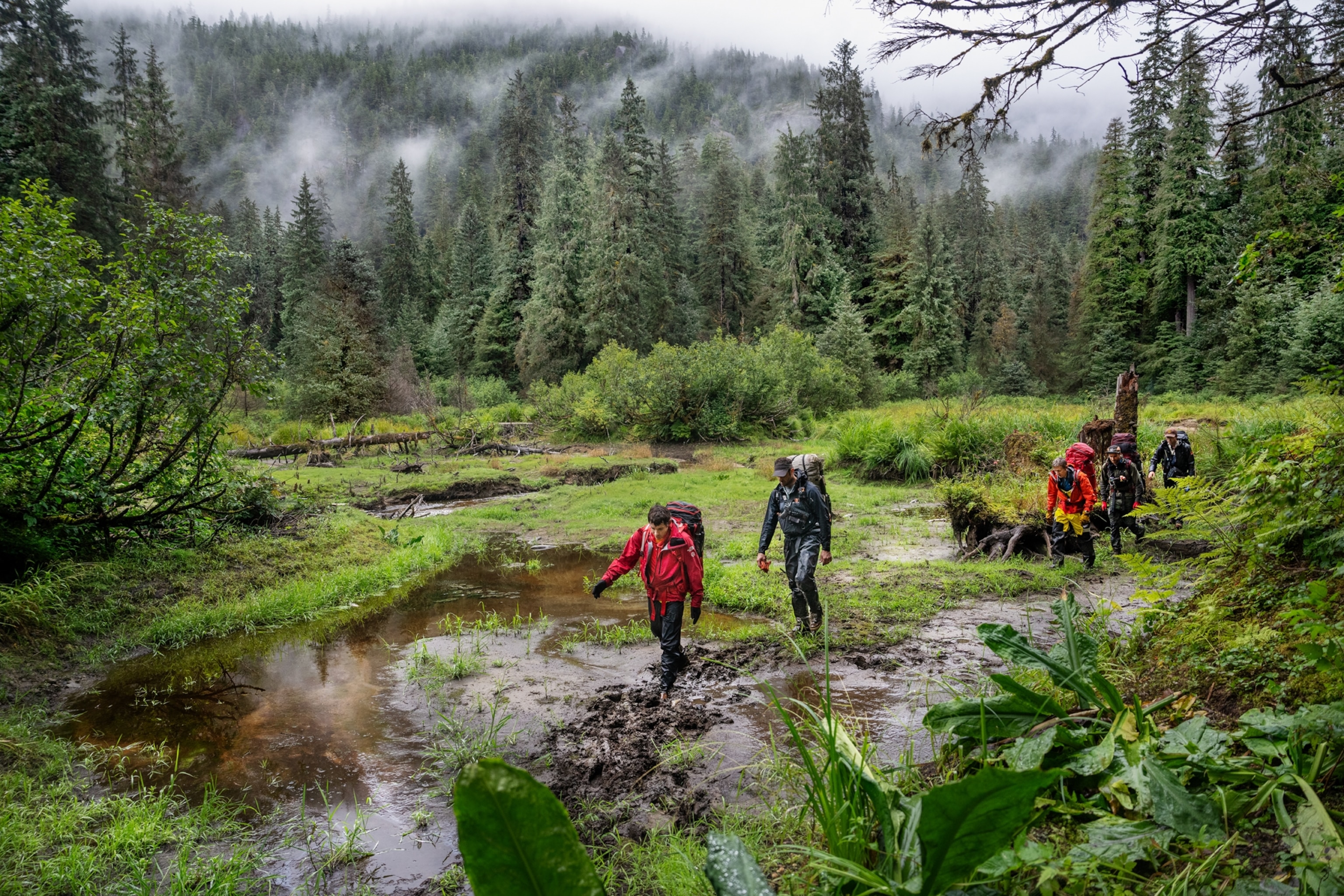 Honnold and Caldwell march through a lush, soggy forest