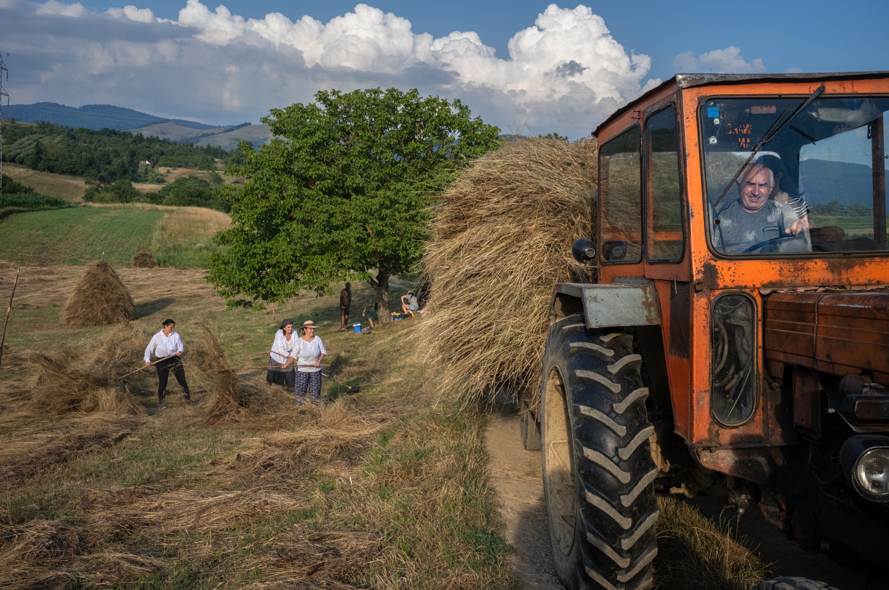 A man is drving an an orange tractor that is carrying hay