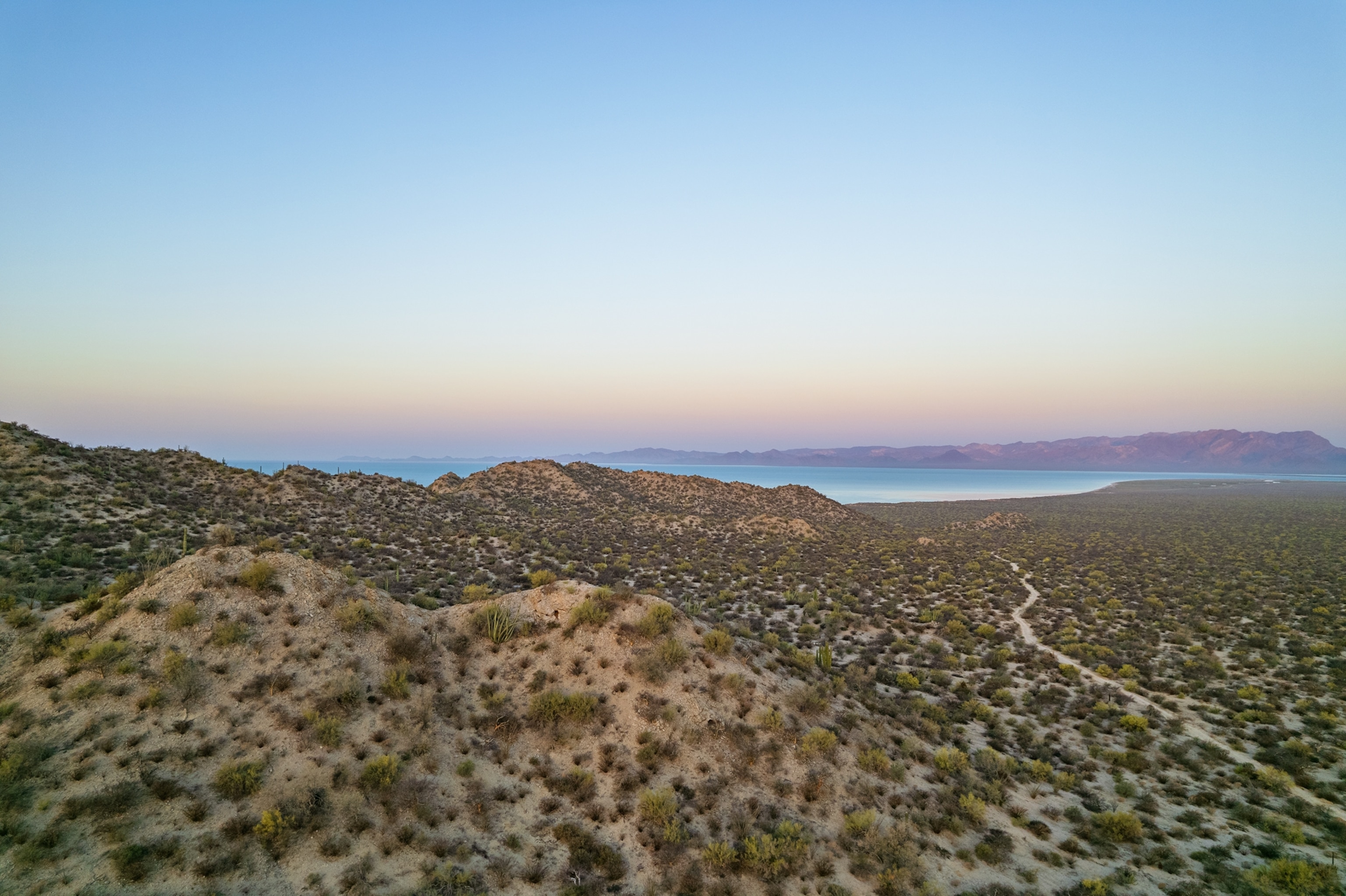 Dry landscape of the desert