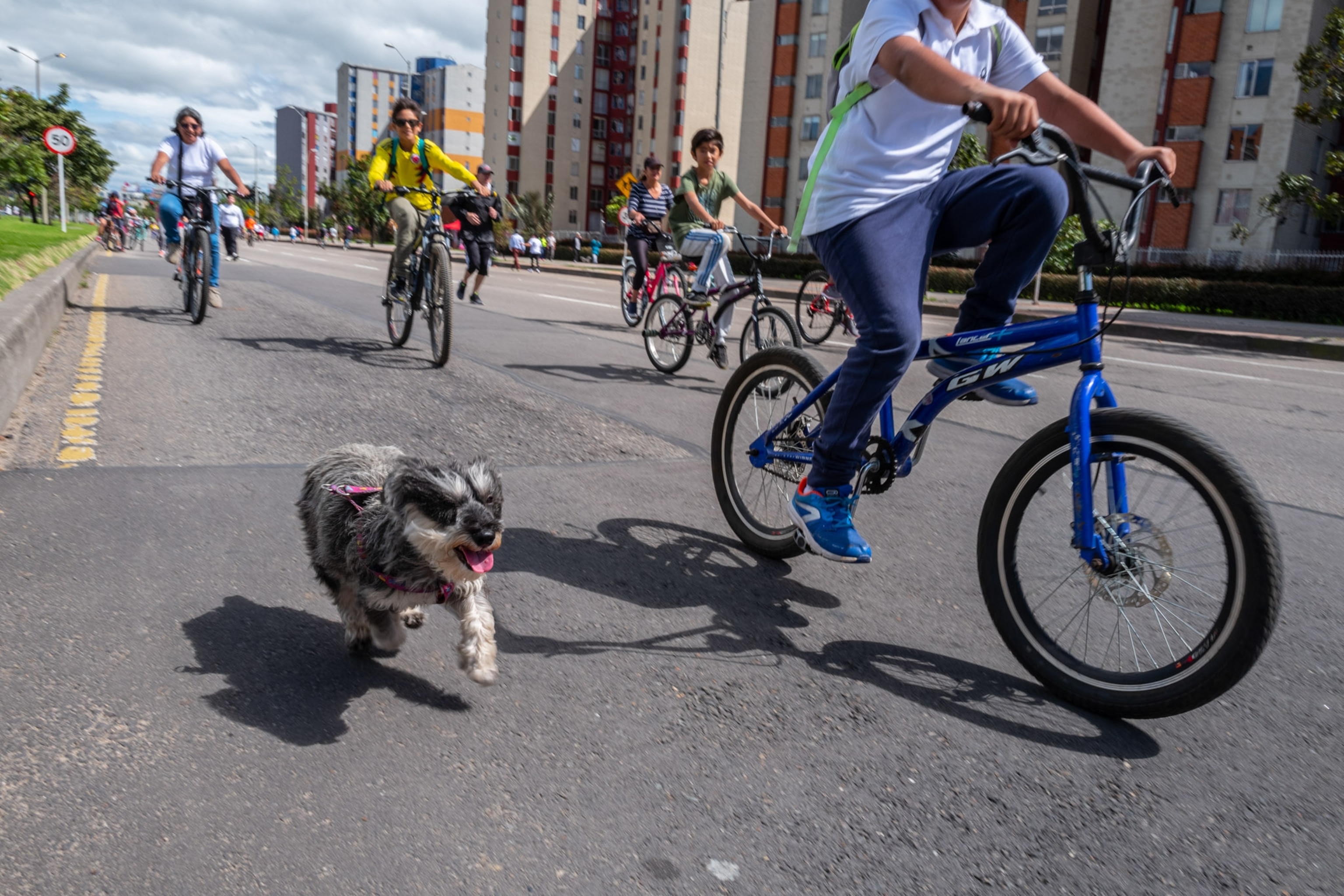 A dog runs along Cyclists.