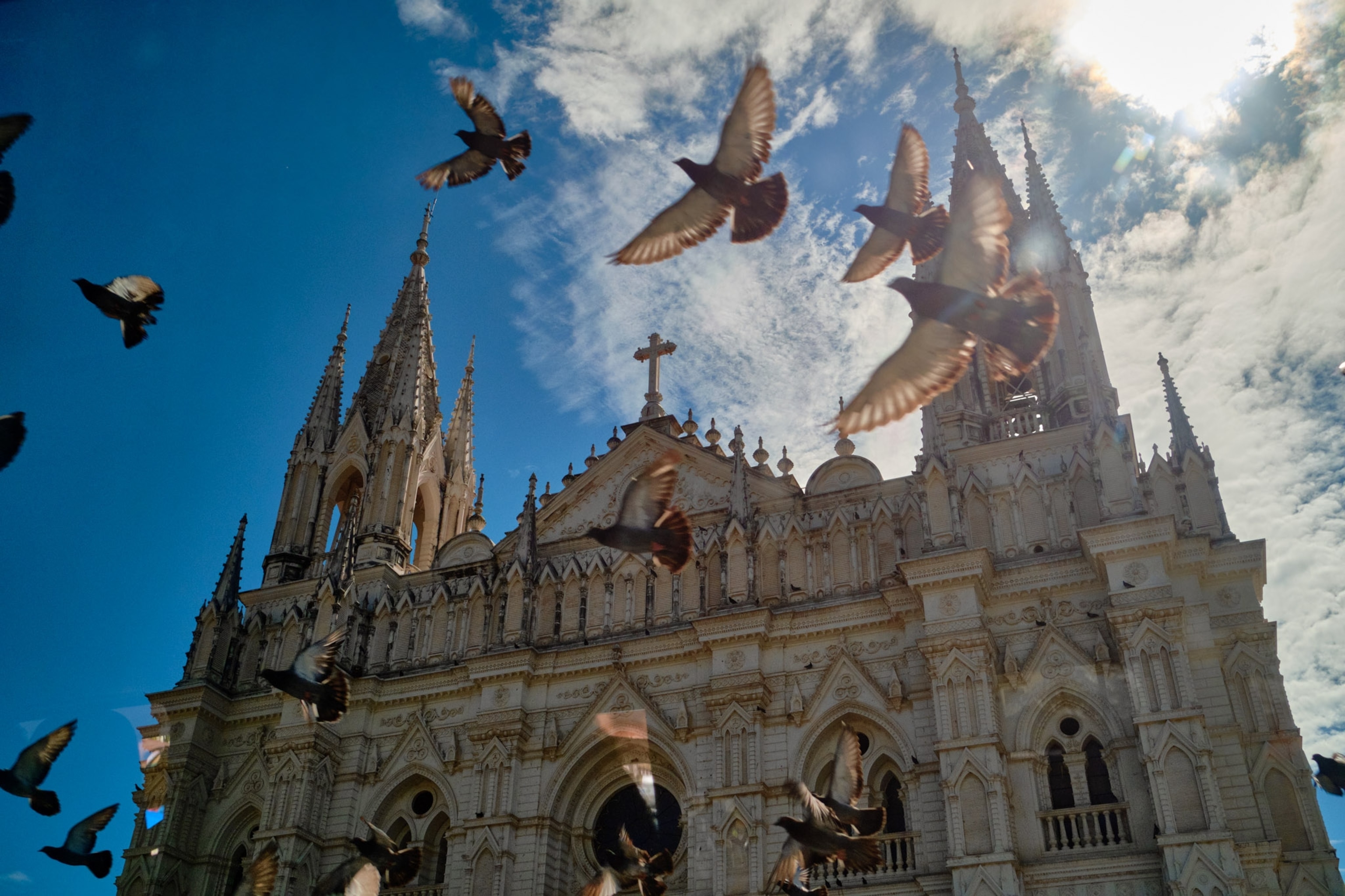 Birds fly above the photographer in front of a cathedral.