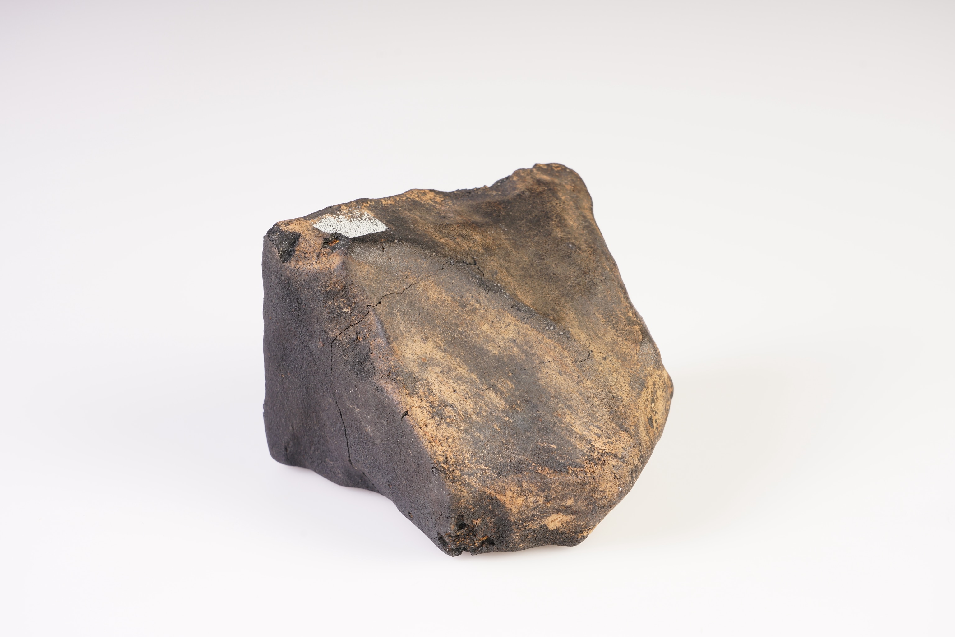 The Murchison meteorite