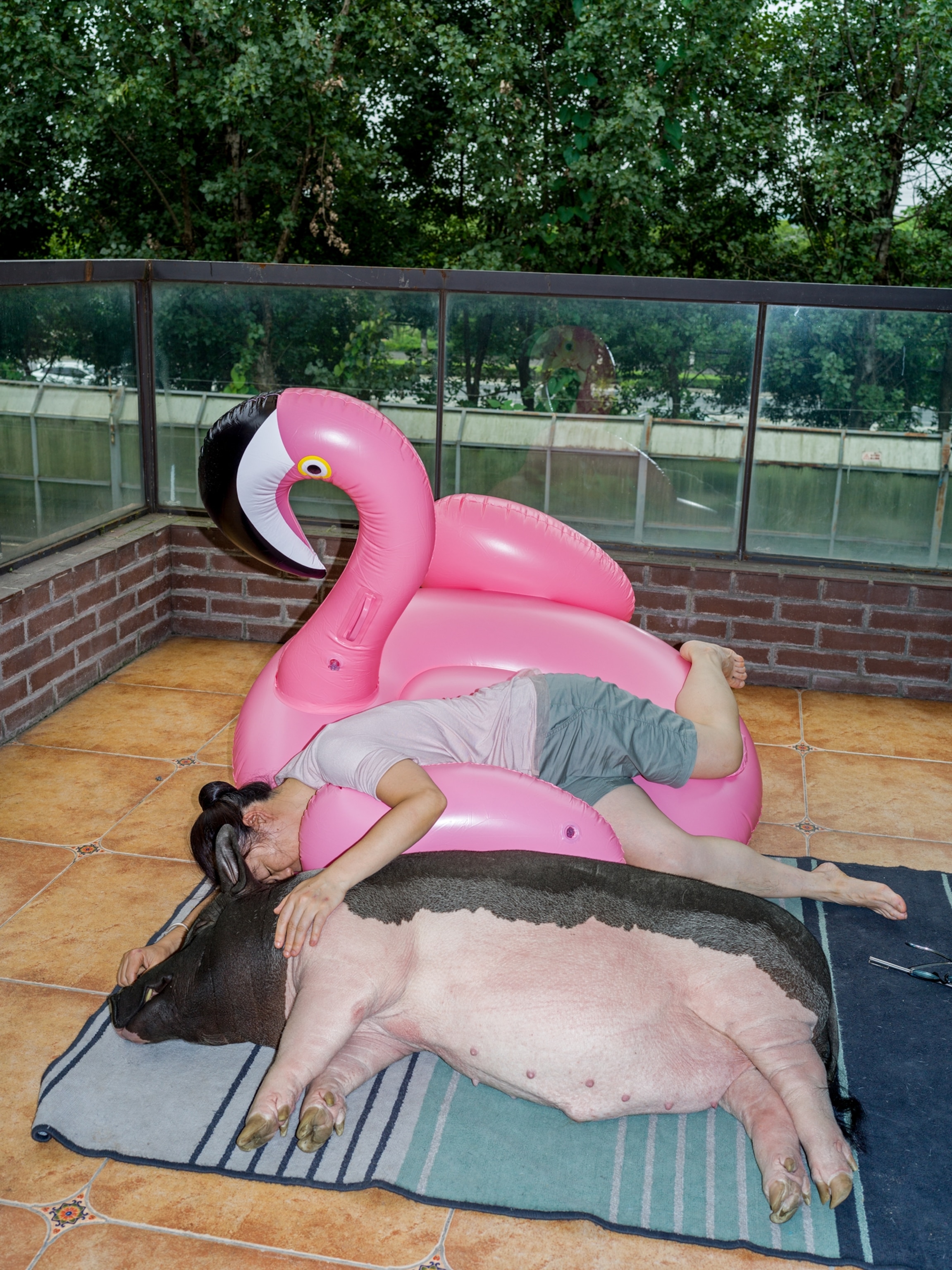 Woman and pig cuddling on the deck with huge pink inflatable flamingo on her side.